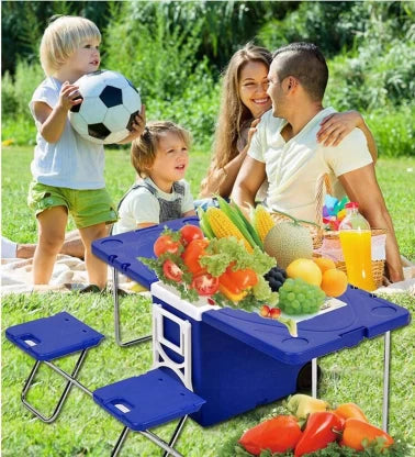 Insulated Storage Box (Keeps Food Warm or Cold)